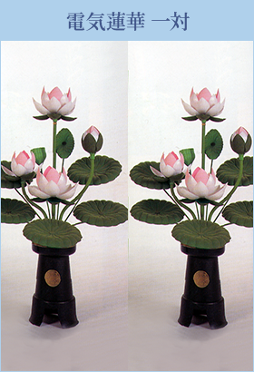 電気蓮華 電気蓮華